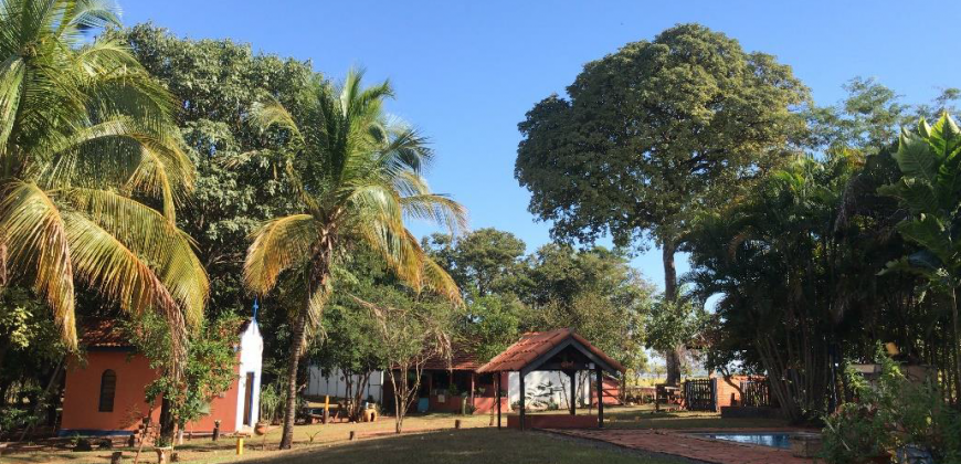 ESTRADA 21 – ZONA RURAL - ÁREA NA BEIRA RIO - Santa Clara d'Oeste/SP